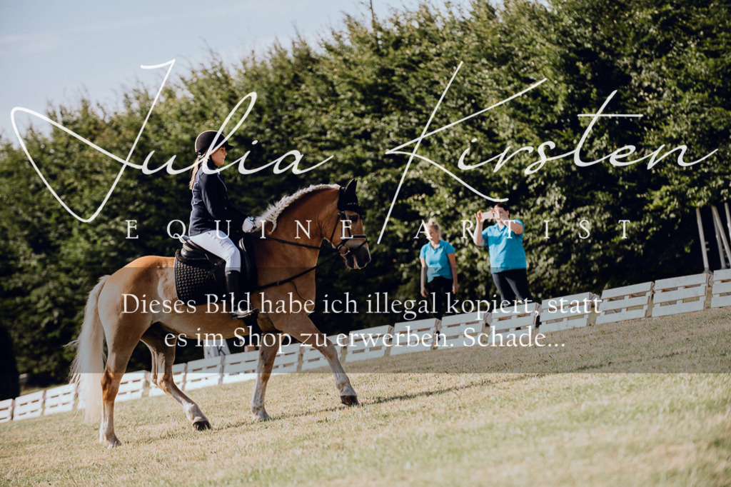 DSC_6900 | Pferde- und Turnierfotografie in Westsachsen. Pferdeportraits, Auftragszeichnungen und intuitive Kunst.