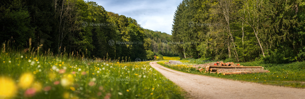 Vögelestal bei Geislingen-Türkheim | löwenblicke | shop
