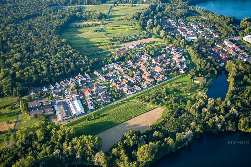 Luftbild: See- Uferbereichen des Rheinbaggersee im Ortsteil Grauelsbaum in Lichtenau im Bundesland Baden-Württemberg in Deutschland. Foto: IMG_093117.jpg vom 16.08.2016 durch Werner Riehm/FLY-FOTO.de