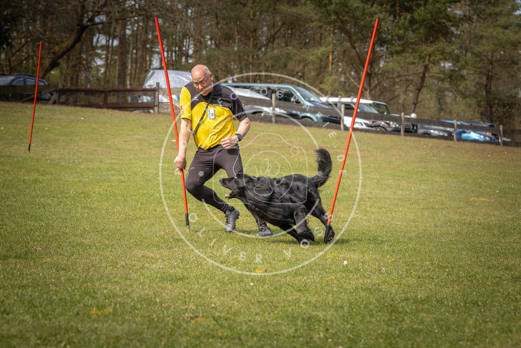 Pfotenfotografie_DV3A8158 | Hundefotografie, Tierfotograf, Pfotenfotografie, Fotoshooting Hund, Hunde Portrait, Hundesport, Hundeportraits, Heideshooting, Hunde, Sportfotograf, Hundefotograf, Turnierhundsport, THS,  - Realisiert mit Pictrs.com