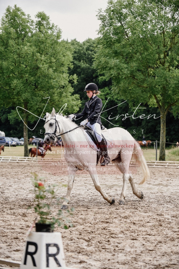 DSC_9437 | Pferde- und Turnierfotografie in Westsachsen. Pferdeportraits, Auftragszeichnungen und intuitive Kunst.