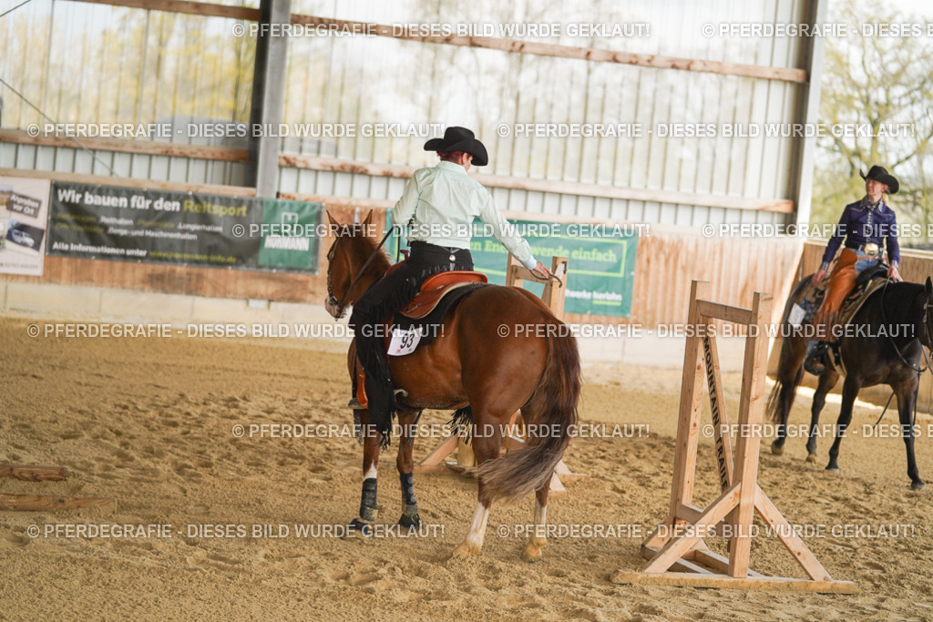 DSC03345 | Pferdegrafie