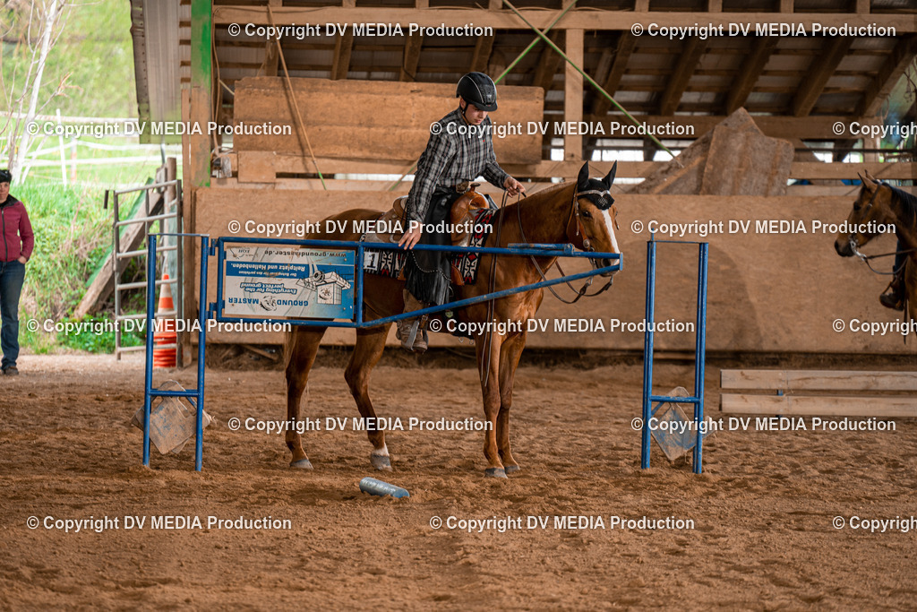 BA400845 | dv-media-shop - Realisiert mit Pictrs.com