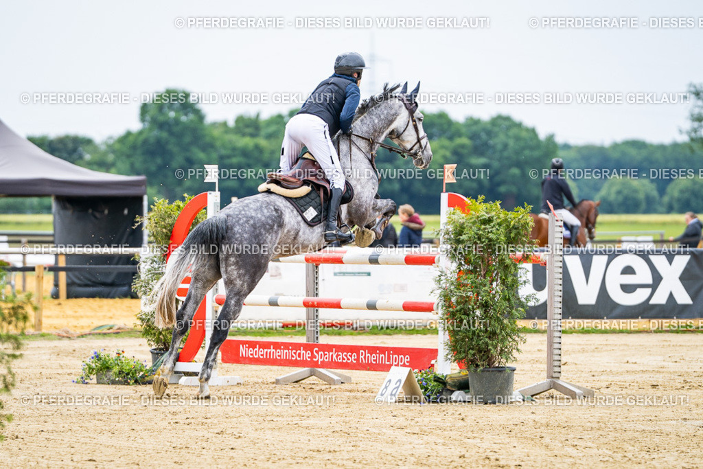 DSC06667 | Pferdegrafie