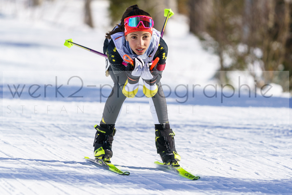 DSC Arber | Bayerischer Wald am 9. bis 12. Februar 2023
