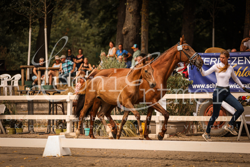 SaPA00163 | Leoni Ertmer Photography - Realisiert mit Pictrs.com