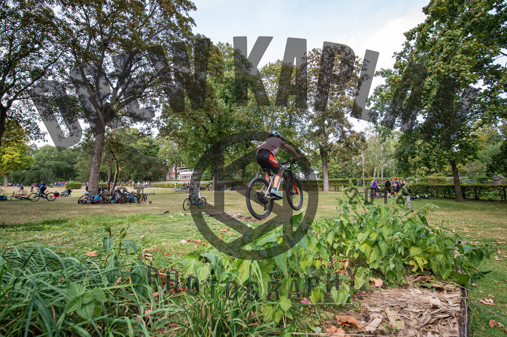 DKP-4034 | Drew Kaplan Photography