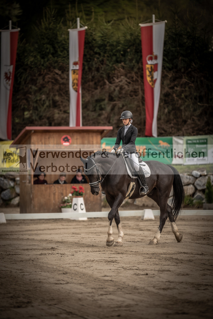 DSC_8235 | equestrian-live-com