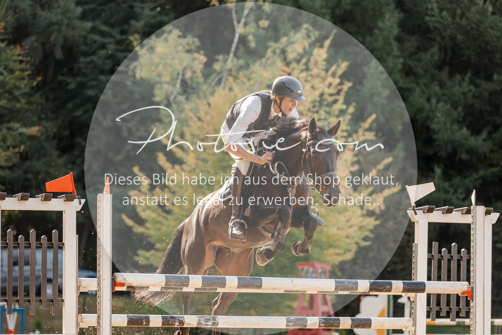 3I6A4871 | Stimmungsvolle Portraits und Reitsportfotografie im Ruhrgebiet und im Münsterland.

Pferdefotografie, Hundefotografie, Tierfotografie, Reportagen, Portraits von Tier und Mensch, Turnierfotografie in Bochum, Recklinghausen, Marl, Haltern am See, Dülmen.. - Realisiert mit Pictrs.com