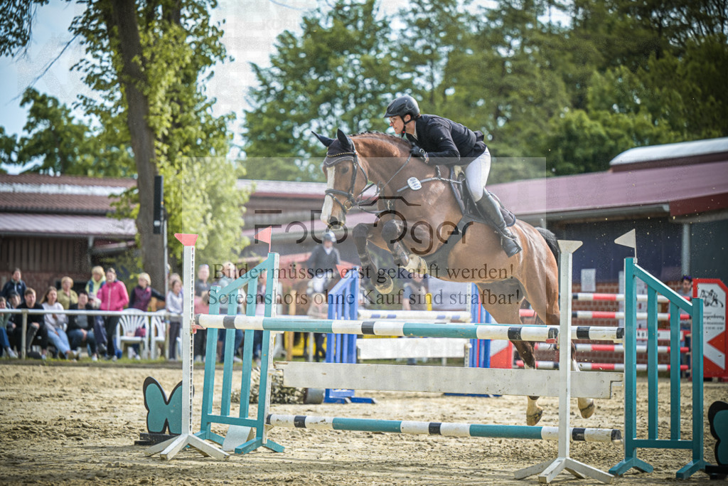 DOS_2785 | Entdecke hochwertige Reitturnierfotos von Foto Oger. Professionell, emotional und authentisch – jetzt Lieblingsmomente im Shop bestellen. - Realisiert mit Pictrs.com