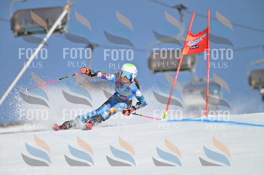 BGV_7607 | holidayphoto