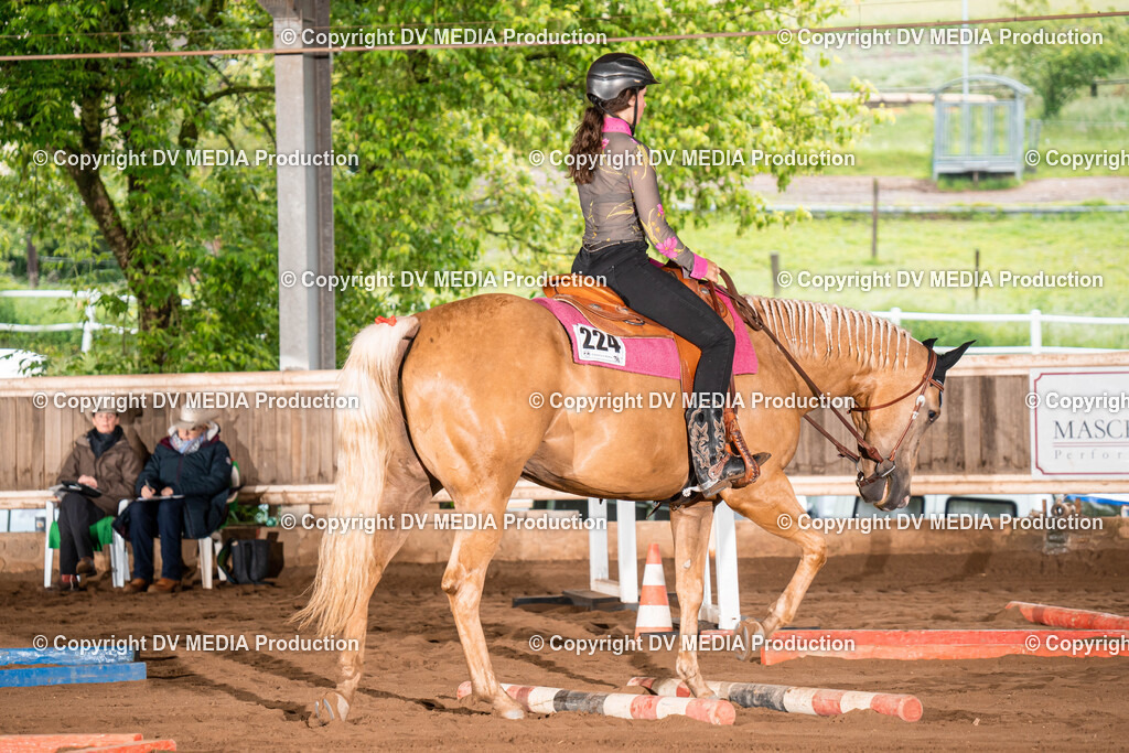 Erbach Tag 1-45 | dv-media-shop - Realisiert mit Pictrs.com