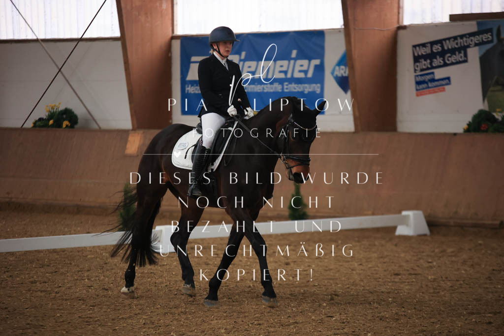 IMGT6878 | pl-fotografie