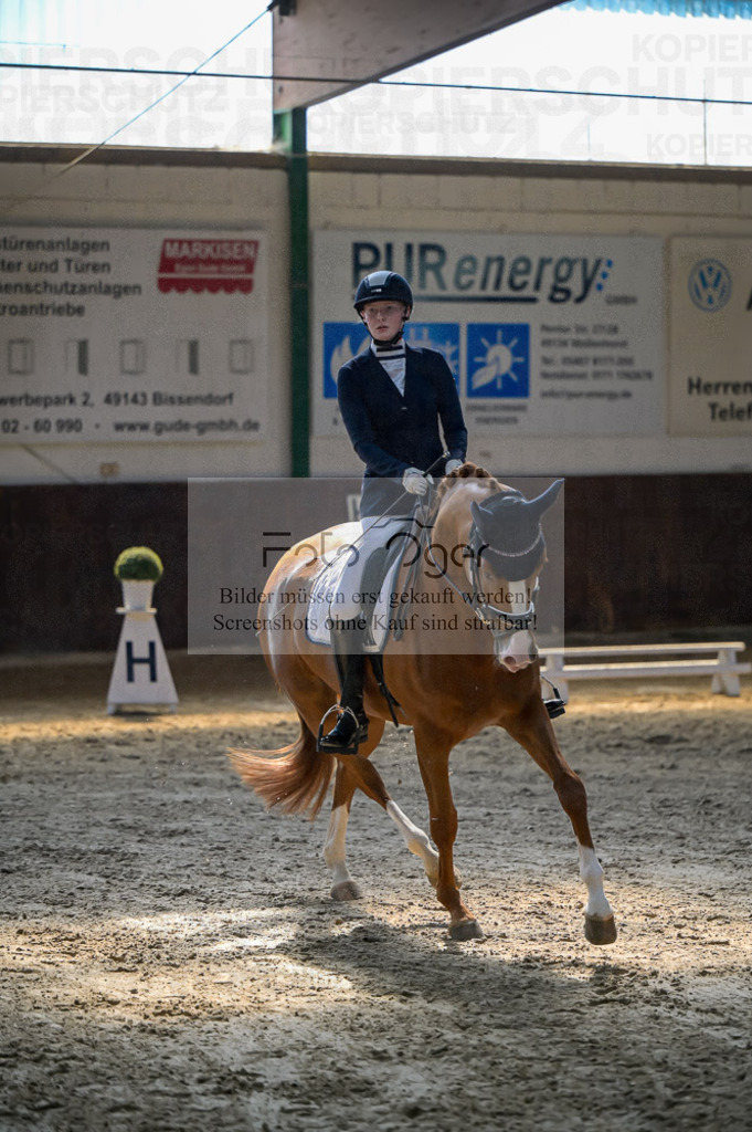 Reitturnier Voxtrup | Entdecke hochwertige Reitturnierfotos von Foto Oger. Professionell, emotional und authentisch – jetzt Lieblingsmomente im Shop bestellen.Deutschlandweite Turnierfotografie. - Realisiert mit Pictrs.com