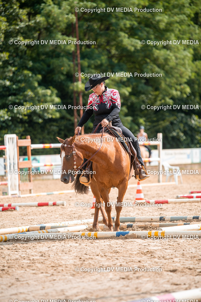 ZS2_7655 | dv-media-shop - Realisiert mit Pictrs.com