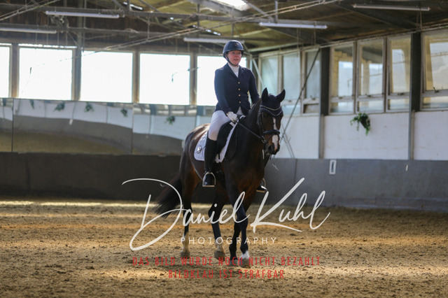 IMG_2772 | Turniersportfotografie; Pferdefotografie; Dressurfotografie