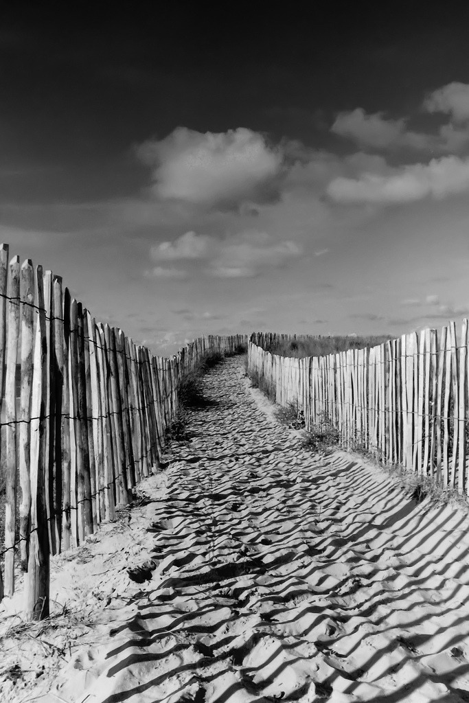 Dünen Weg | Art by Birgit Fotografie