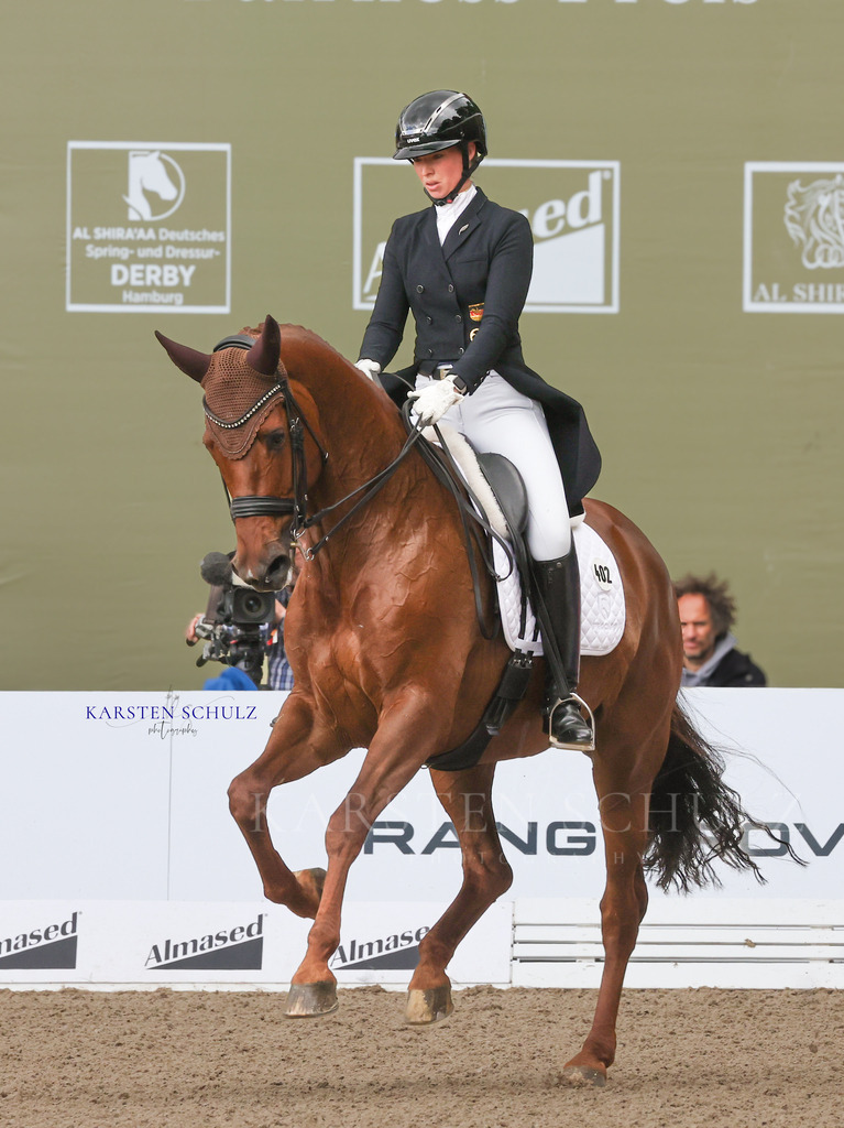 1B3A3558 | Reitsport Reiten
