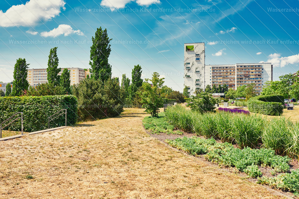 Hoyerswerda-Neustadt im Sommer 2023 - Central-Park | Hoyerswerda-Neustadt im Sommer 2023 - Central-Park - Realisiert mit Pictrs.com