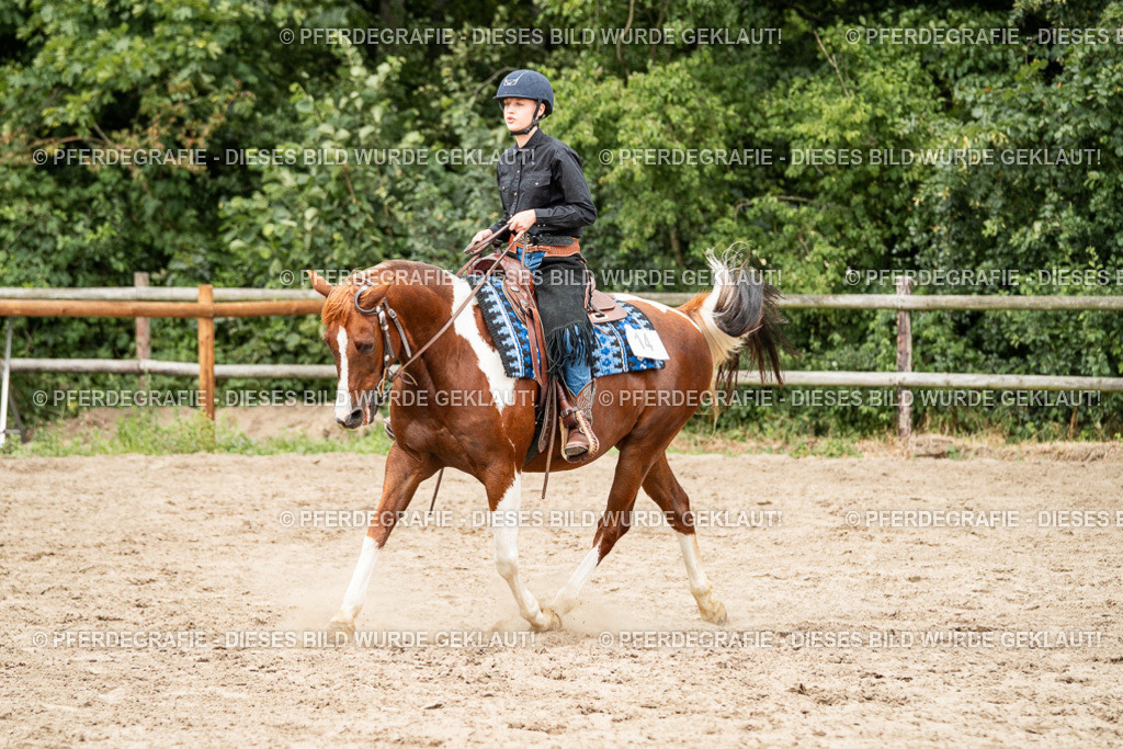 DSC01249 | Pferdegrafie