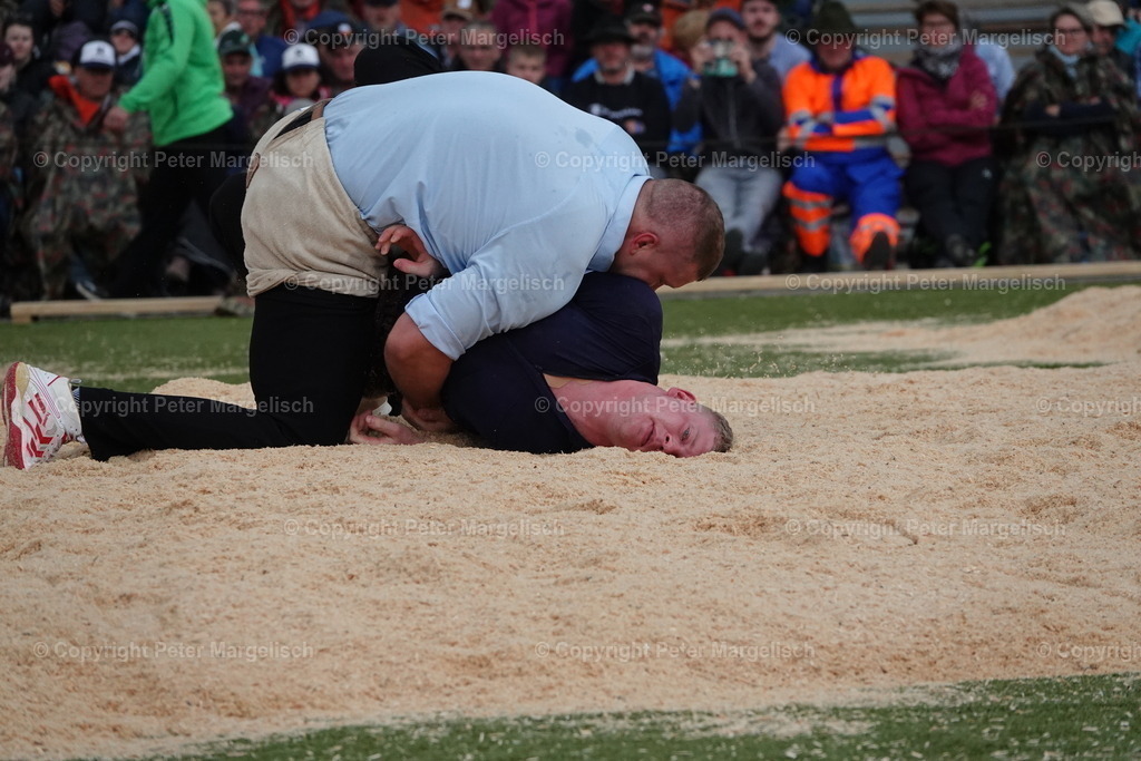 DSC03715 | Schwingen - Realisiert mit Pictrs.com