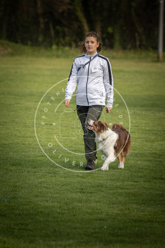 Pfotenfotografie_DV3A4840 | Hundefotografie, Tierfotograf, Pfotenfotografie, Fotoshooting Hund, Hunde Portrait, Hundesport, Hundeportraits, Heideshooting, Hunde, Sportfotograf, Hundefotograf, Turnierhundsport, THS,  - Realisiert mit Pictrs.com