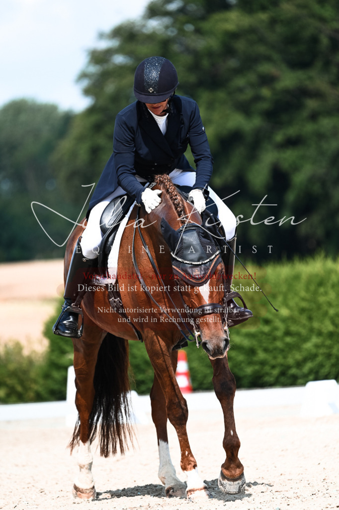 DSC_3227 | Pferde- und Turnierfotografie in Westsachsen. Pferdeportraits, Auftragszeichnungen und intuitive Kunst.