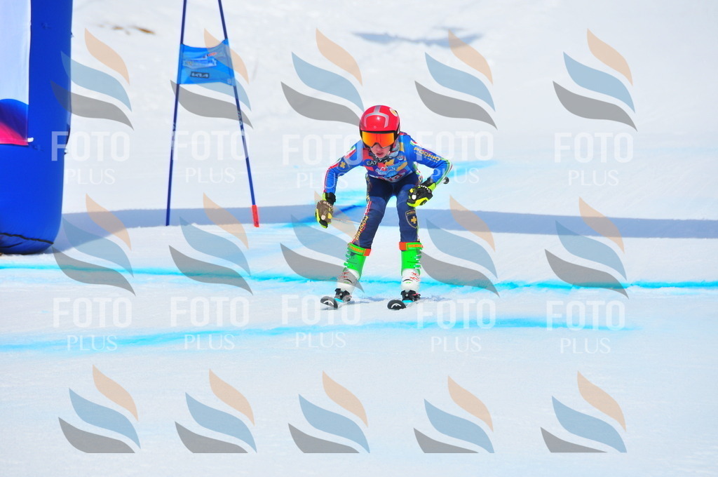 DSC_5666 | holidayphoto