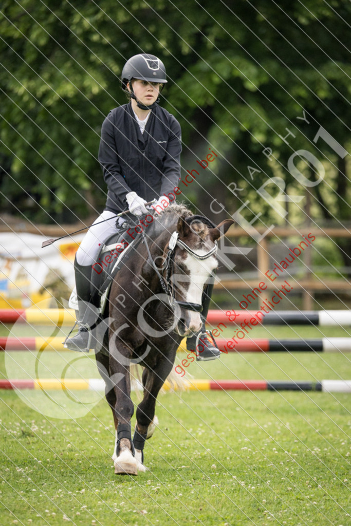 IMG_2724 | Sport-, Event- und Tierfotos in Profiqualität. Einfach auswählen, bestellen und herunterladen. Dein Moment – perfekt festgehalten.