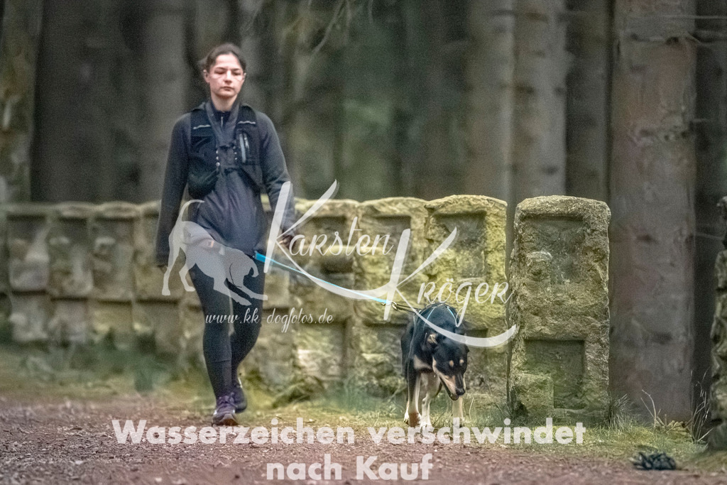 0830DZ6_3226 | kk-dogfotos