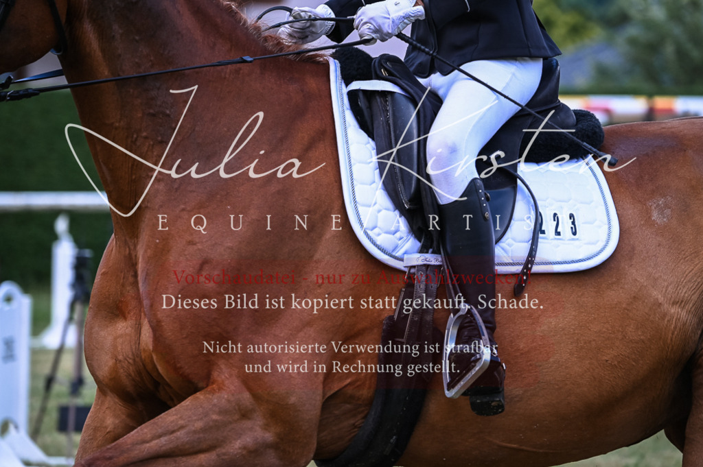 DSC_8455 | Pferde- und Turnierfotografie in Westsachsen. Pferdeportraits, Auftragszeichnungen und intuitive Kunst.