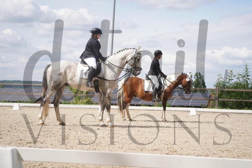 tgbhsamstag (1157) | d.tail Visions - Shop - Realisiert mit Pictrs.com