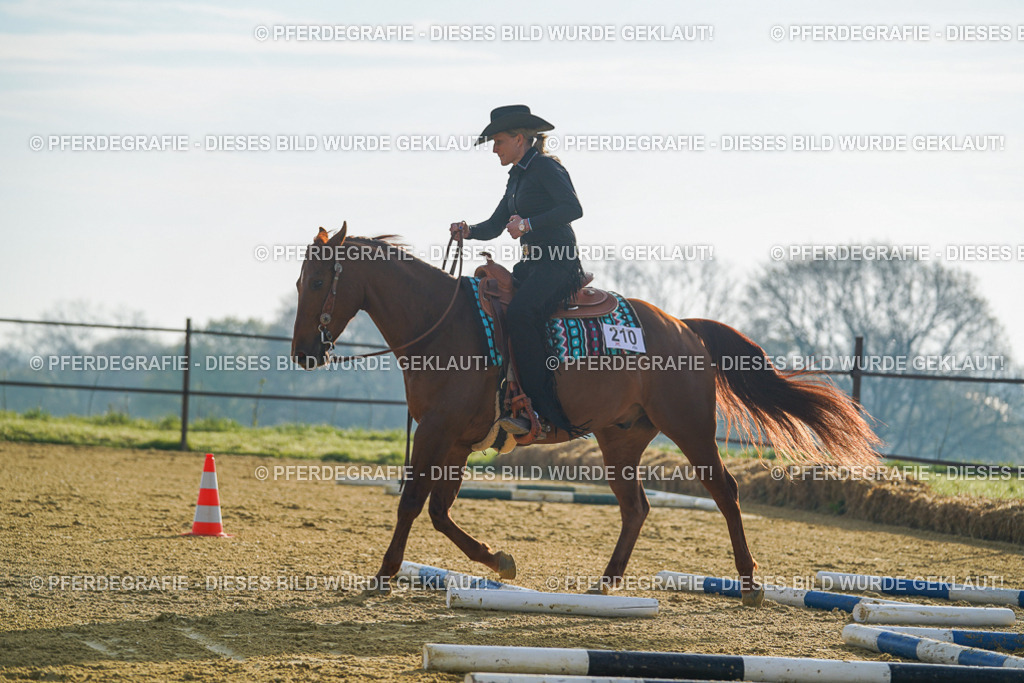 DSC00129 | Pferdegrafie