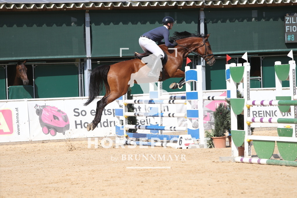 DL2Q1880 | Willkommen bei Brunnmayr - Design & Fotografie – Ihrem Spezialisten für Reitturniere und Pferdeveranstaltungen in Oberösterreich, Salzburg und Bayern! Seit über 17 Jahren sind wir leidenschaftlich dabei.