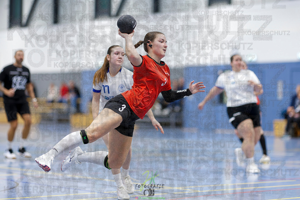 Frauen 2. Bezirksklasse; SG Rechtenbach - HSG Linden II | Frauen 2. Bezirksklasse; SG Rechtenbach - HSG Linden II am 16.11.2025 in Rechtenbach (Sporthalle Rechtenbach)Photo © 2025 - Jörg Heinrich - Realisiert mit Pictrs.com