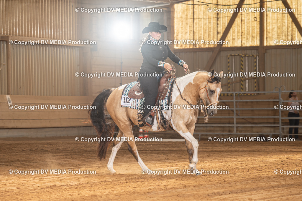 NID03197 | dv-media-shop - Realisiert mit Pictrs.com