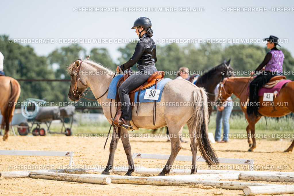 DSC09924 | Pferdegrafie