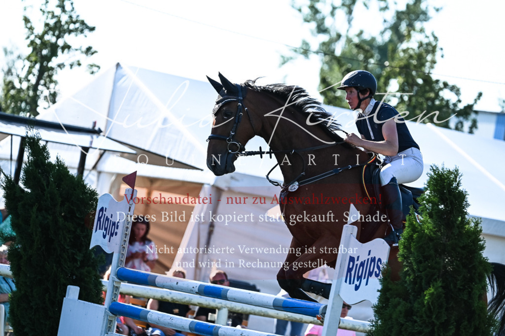 DSC_2704 | Pferde- und Turnierfotografie in Westsachsen. Pferdeportraits, Auftragszeichnungen und intuitive Kunst.