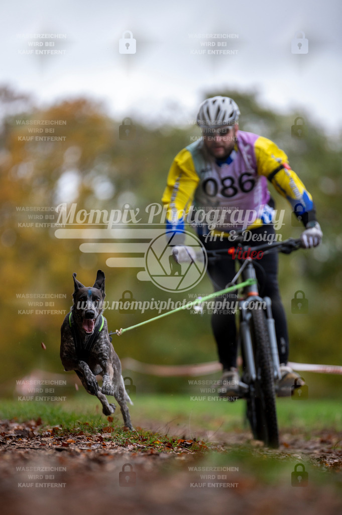 DBT_DAKM_SA_4_11_2023_Bike-54 | PayLife