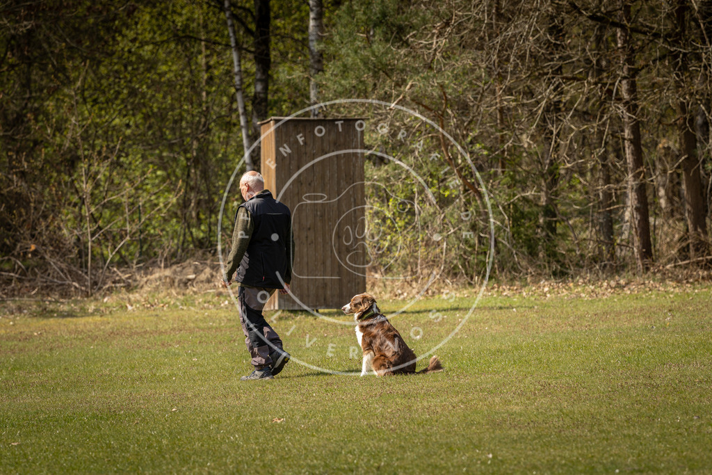 Pfotenfotografie_DV3A1345 | Hundefotografie, Tierfotograf, Pfotenfotografie, Fotoshooting Hund, Hunde Portrait, Hundesport, Hundeportraits, Heideshooting, Hunde, Sportfotograf, Hundefotograf, Turnierhundsport, THS,  - Realisiert mit Pictrs.com