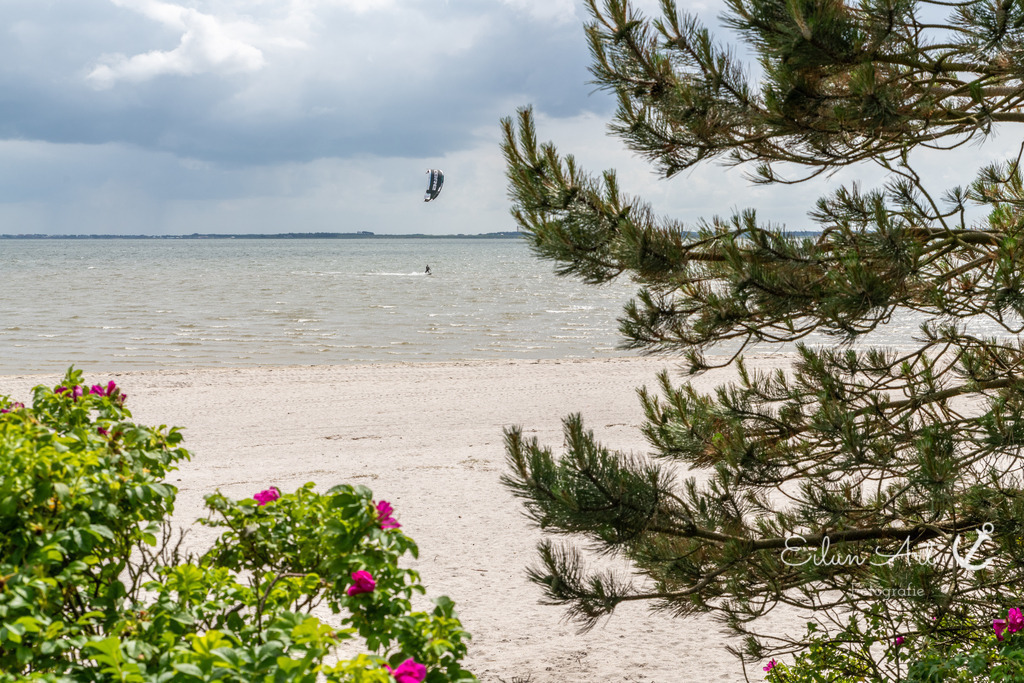 20240605-EAF_1533 | Eilun-Art-Fotografie Levke Martens, ihre Fotografin für Immobilien- und Landschaftsfotografie auf Föhr, Föhrer Motive als Poster, Leinwand, hinter Acrylglas oder stelle dir deinen eigenen Monatskalender zusammen, mit nur einem Klick
