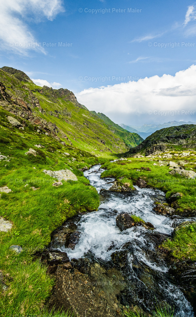 Wangenitze Rest-5 | piet_flosse