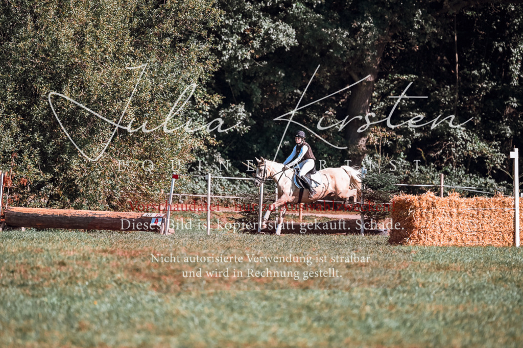 DSC_1126 | Pferde- und Turnierfotografie in Westsachsen. Pferdeportraits, Auftragszeichnungen und intuitive Kunst.