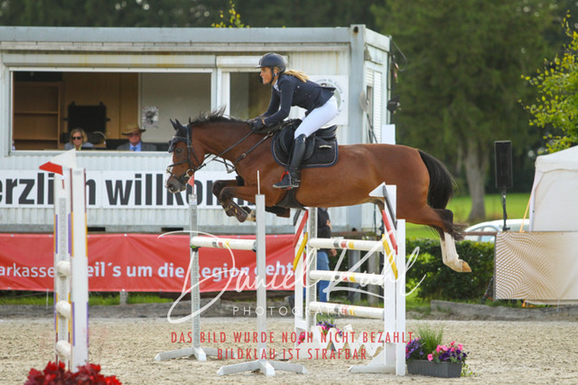 DKP43841 | Turniersportfotografie; Pferdefotografie; Dressurfotografie