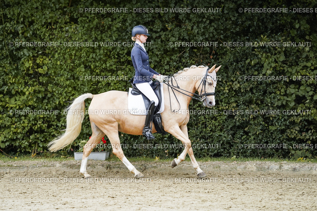 DSC07418 | Pferdegrafie