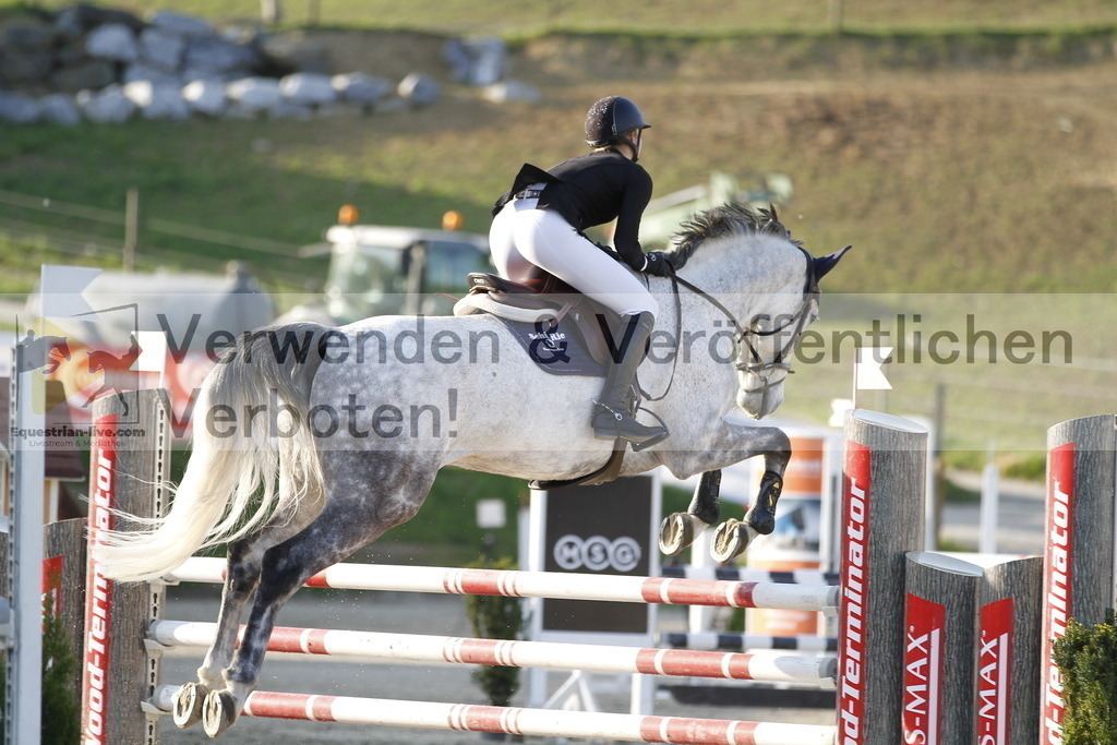 _MG_8573 | equestrian-live-com