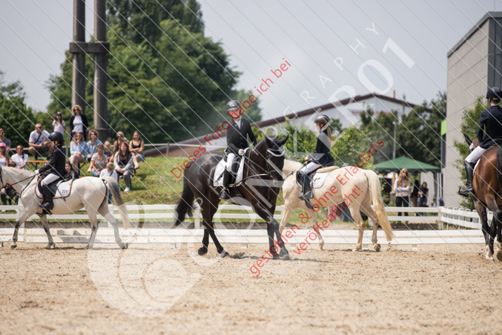 IMG_3899 | Sport-, Event- und Tierfotos in Profiqualität. Einfach auswählen, bestellen und herunterladen. Dein Moment – perfekt festgehalten.
