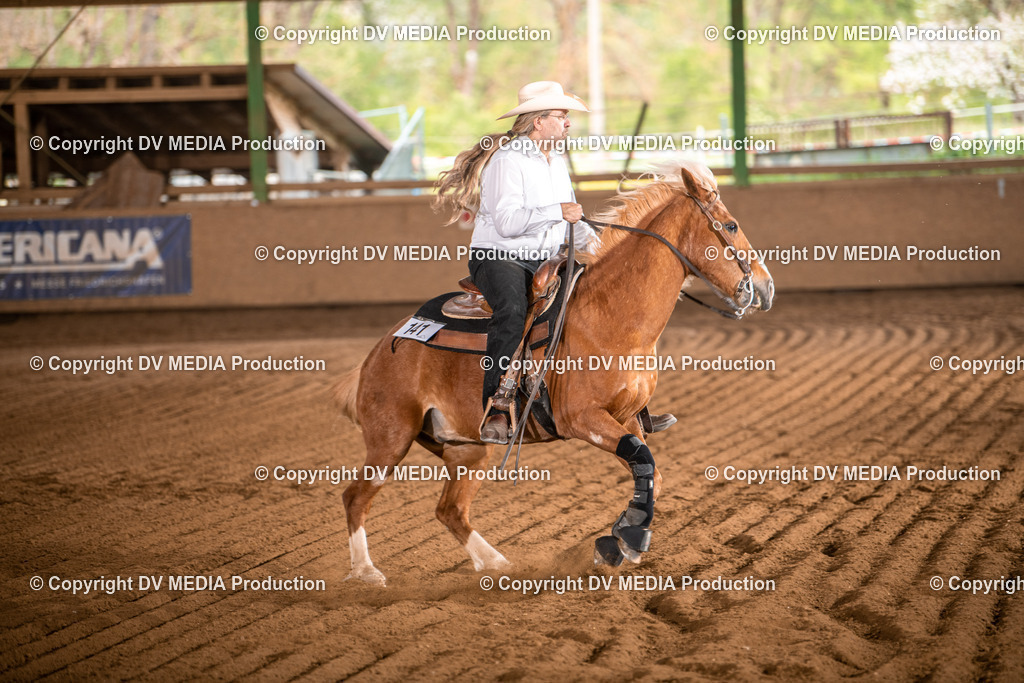 Balingen Tag 4-1019 | dv-media-shop - Realisiert mit Pictrs.com