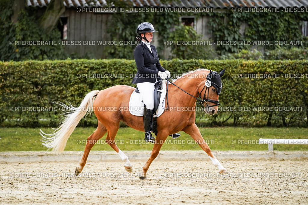 DSC08592 | Pferdegrafie