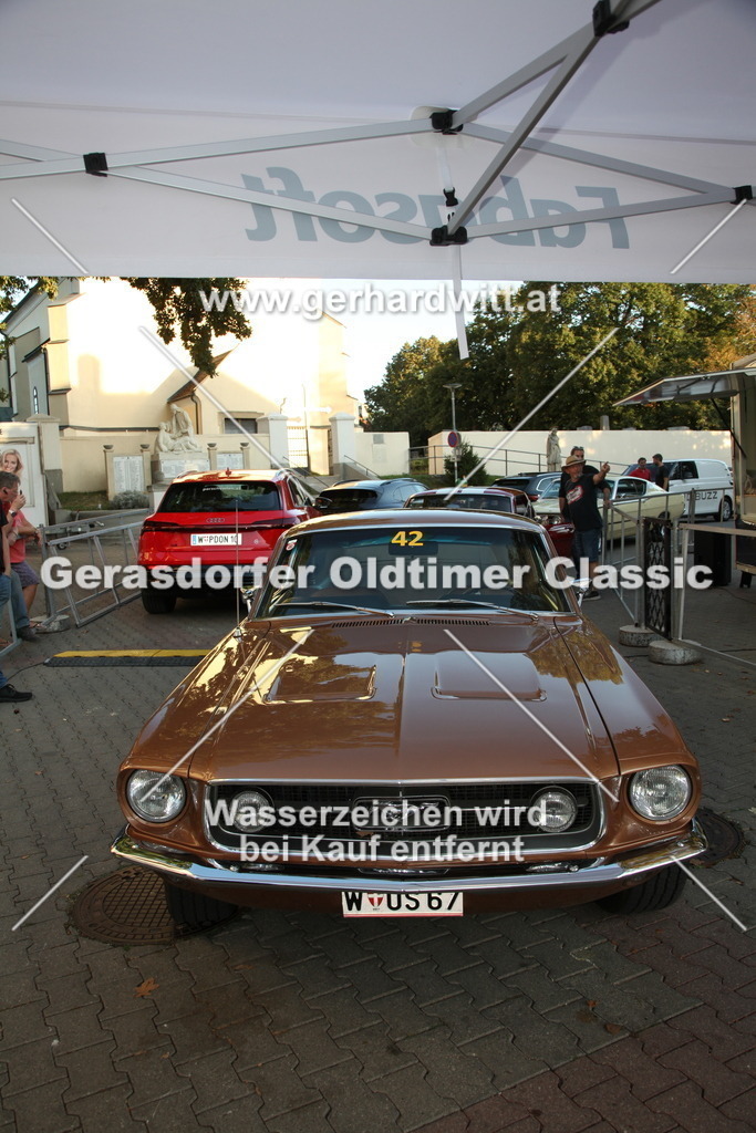 IMG_4333 | Gerhard Witt